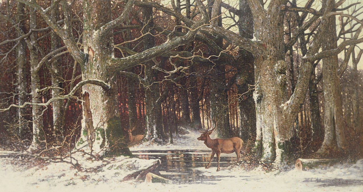 Ciervos en el bosque, siglo XIX de G. Schneyder