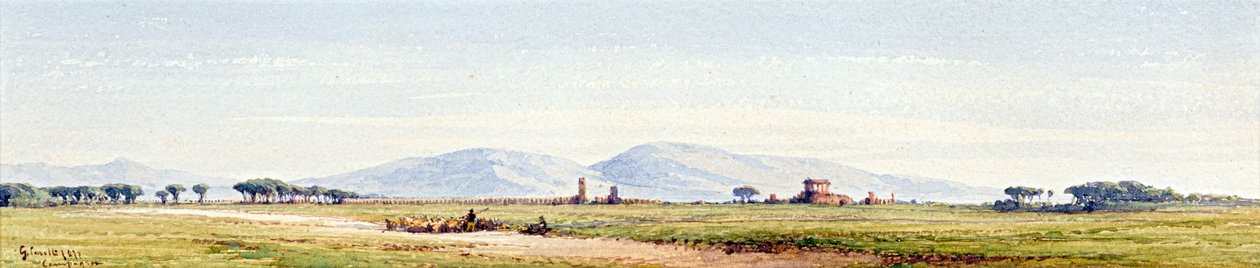 Campaña de Gabriel Carelli