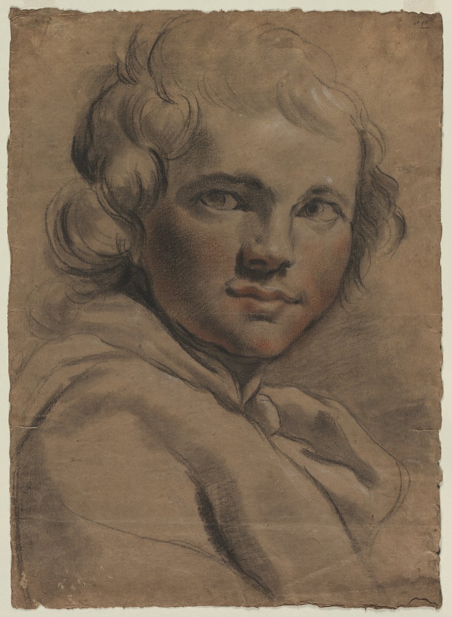 Head of a Young Man (recto) de Gaetano Gandolfi