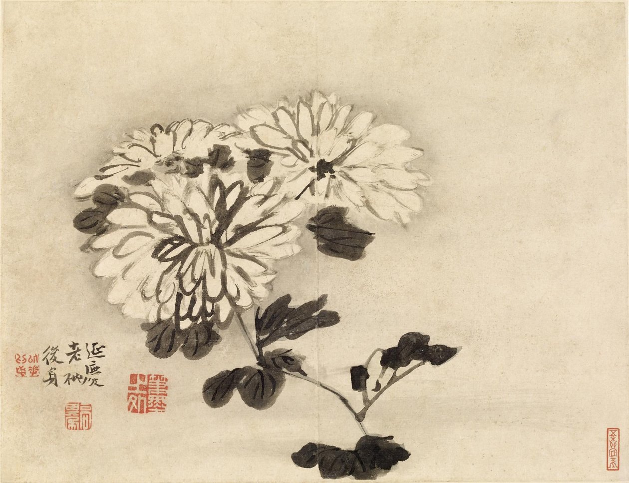 Crisantemos de Gao Qipei
