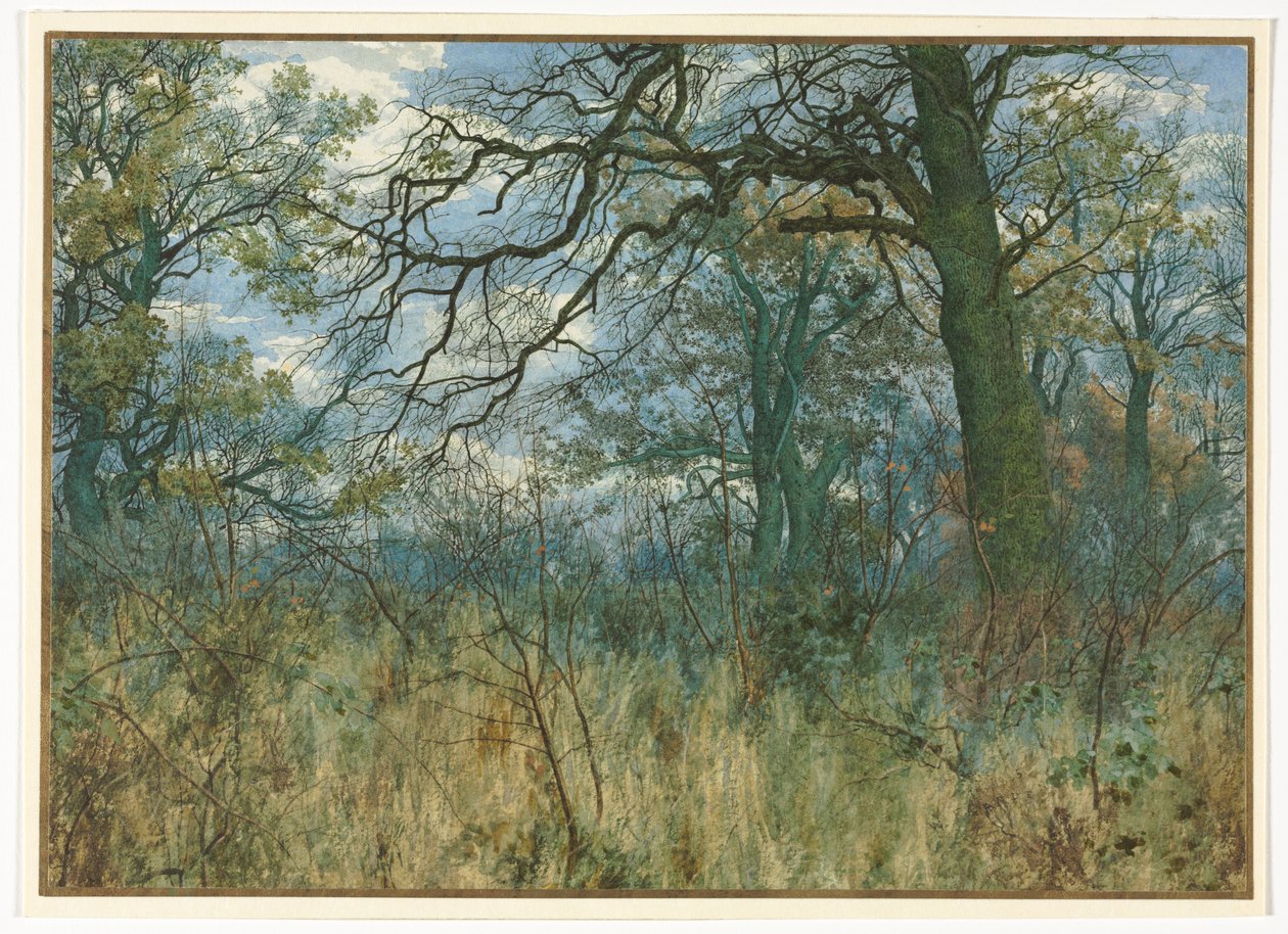 Trees and Undergrowth de Garden William Fraser