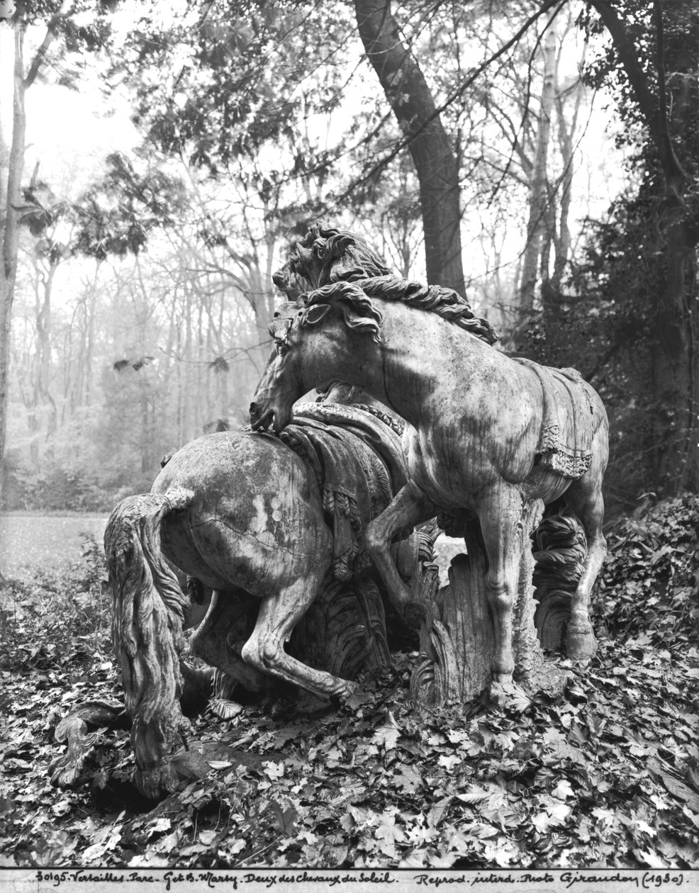 Tritones acicalando dos caballos del sol en el bosque de los Baños de Apolo, c.1667-72 de Gaspard and Balthazar Marsy