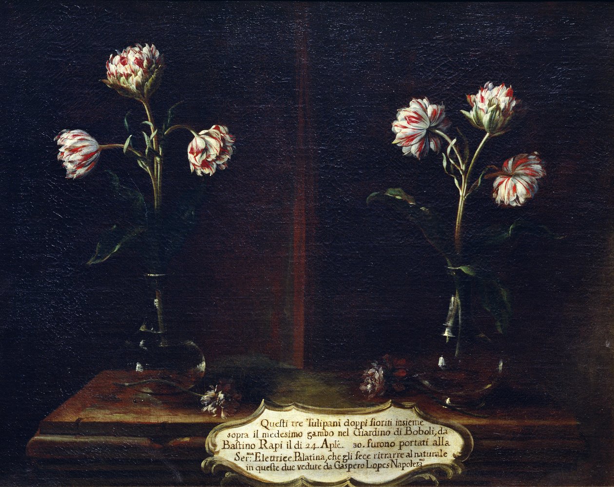 Tulipanes de Gasparo Lopez