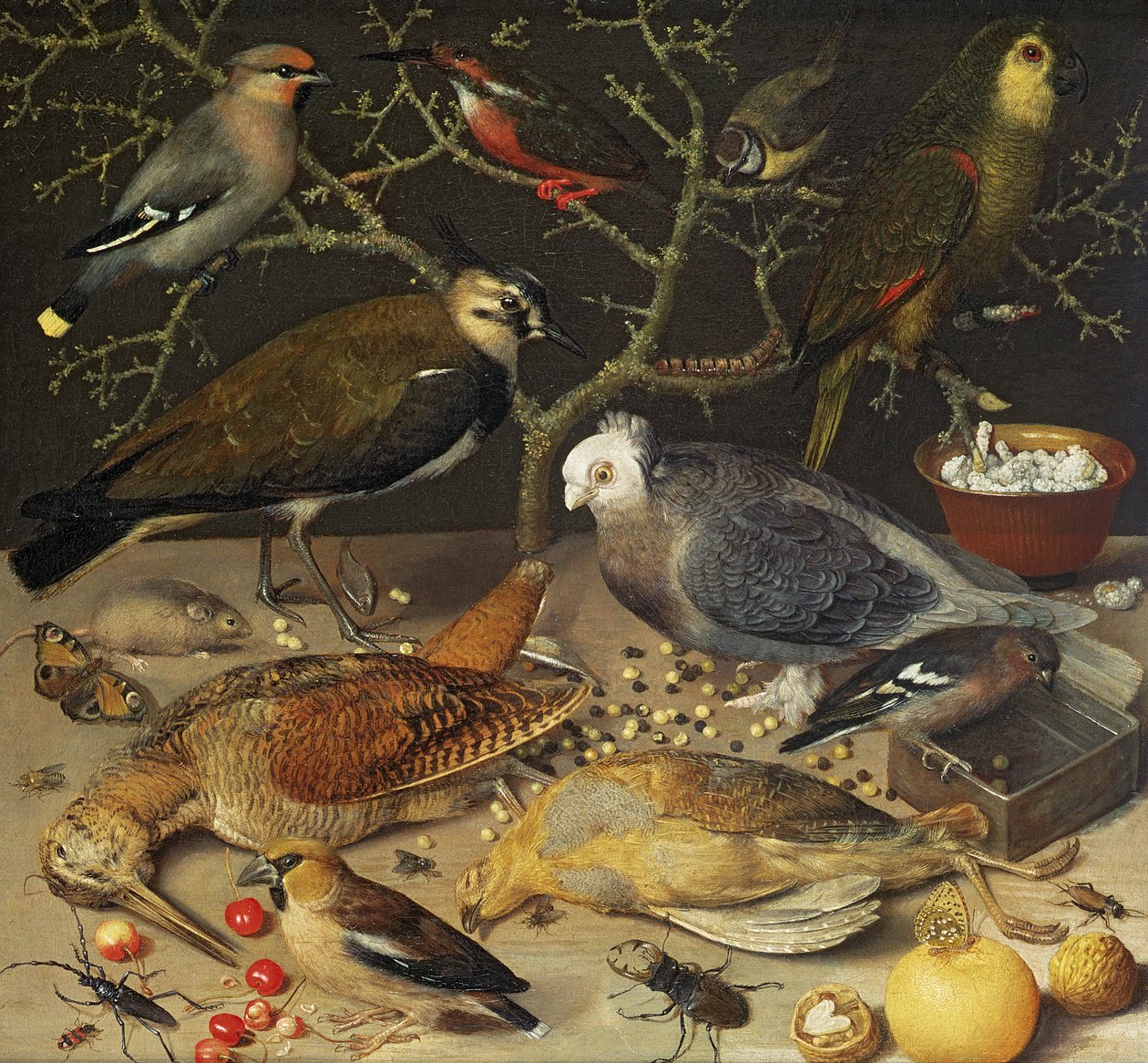 Naturaleza muerta de aves e insectos, 1637 de Georg Flegel