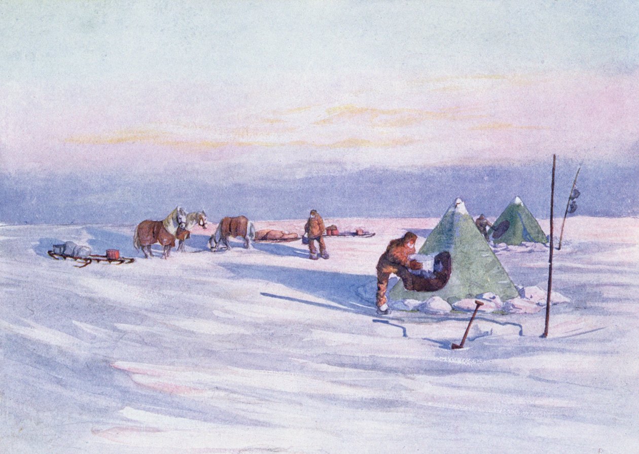 Organizando el campamento, ilustración de 