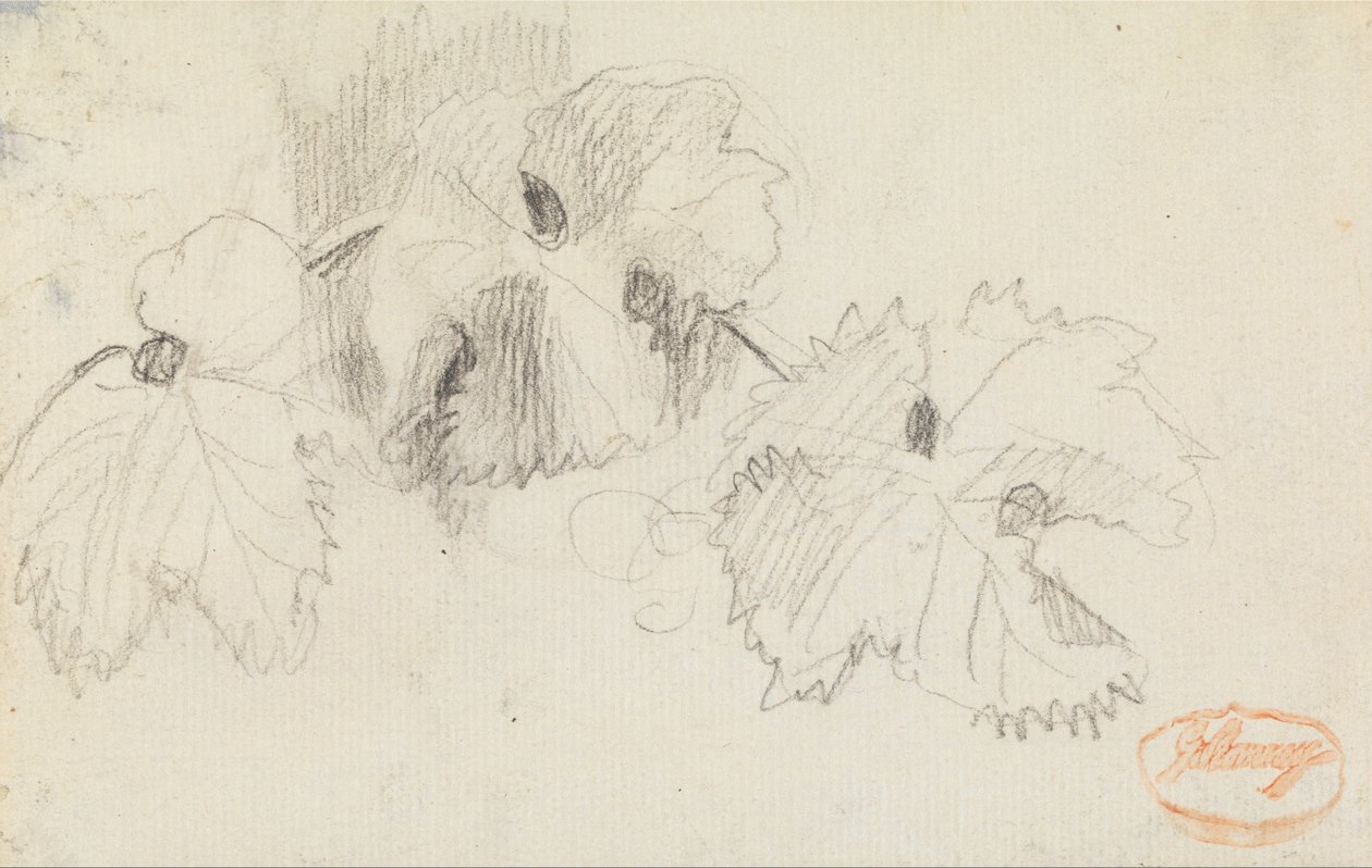 Hojas 1 de George Romney