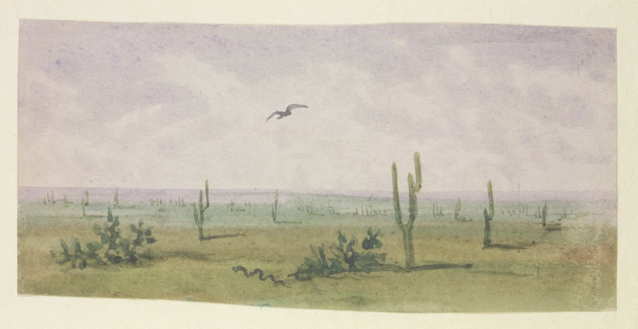 La Boa Constrictor Americana de George Sand