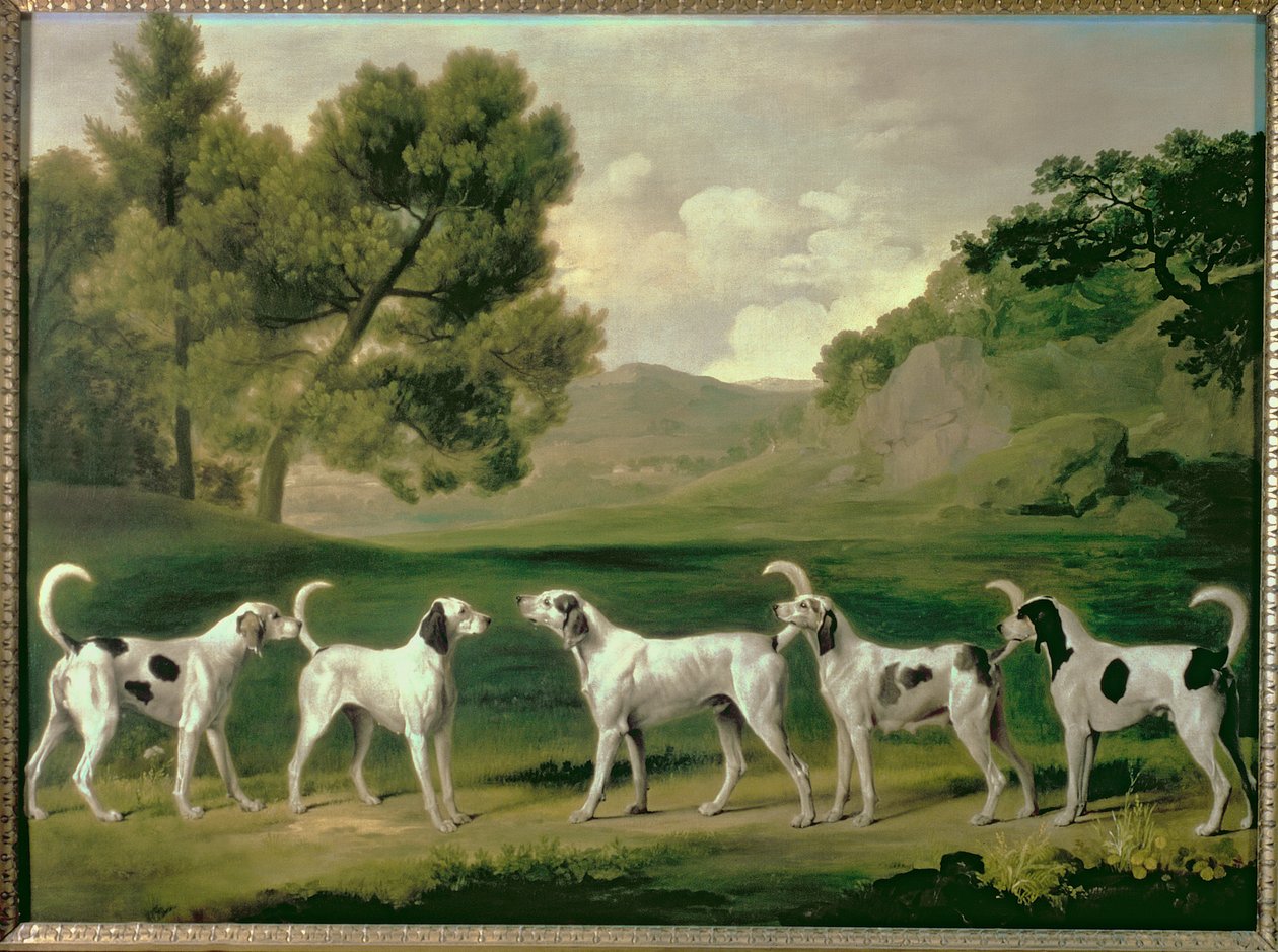 Perros de caza en un paisaje, 1762 de George Stubbs