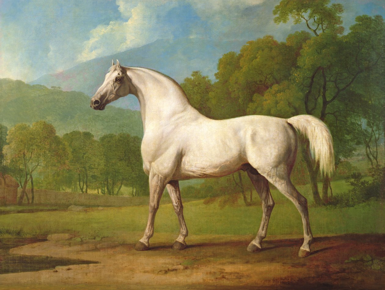 Mambrino, c.1790 de George Stubbs