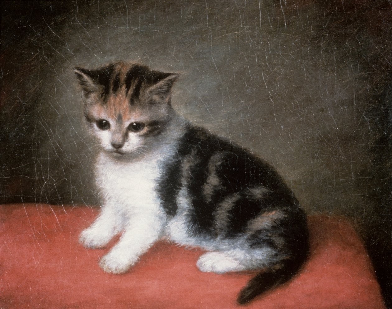 El gatito de Miss Ann White, 1790 de George Stubbs