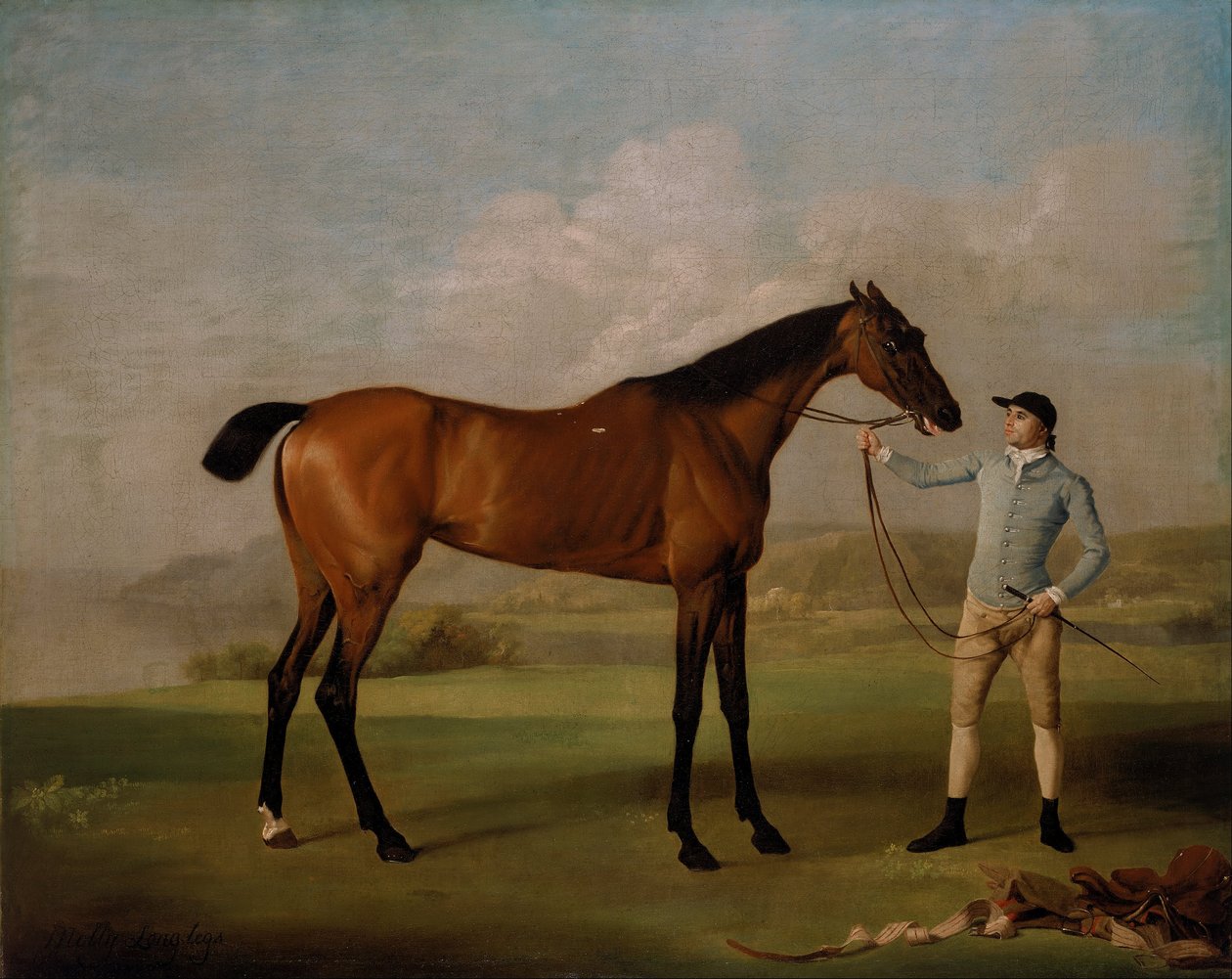 Molly Patilargas con su jinete de George Stubbs