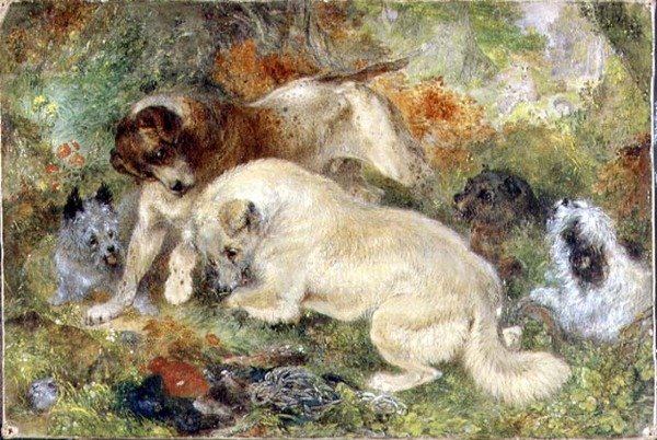 Terriers y conejos en un bosque de George Armfield