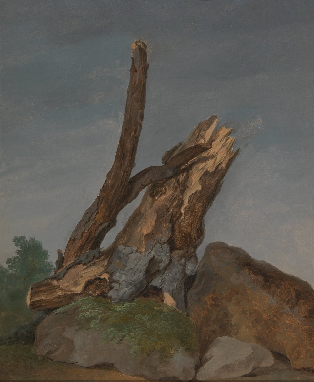 Estudio de rocas y ramas de George Augustus Wallis