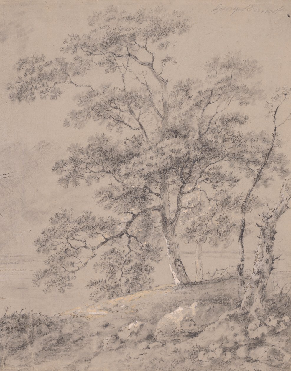 Estudio de árboles de George Barret