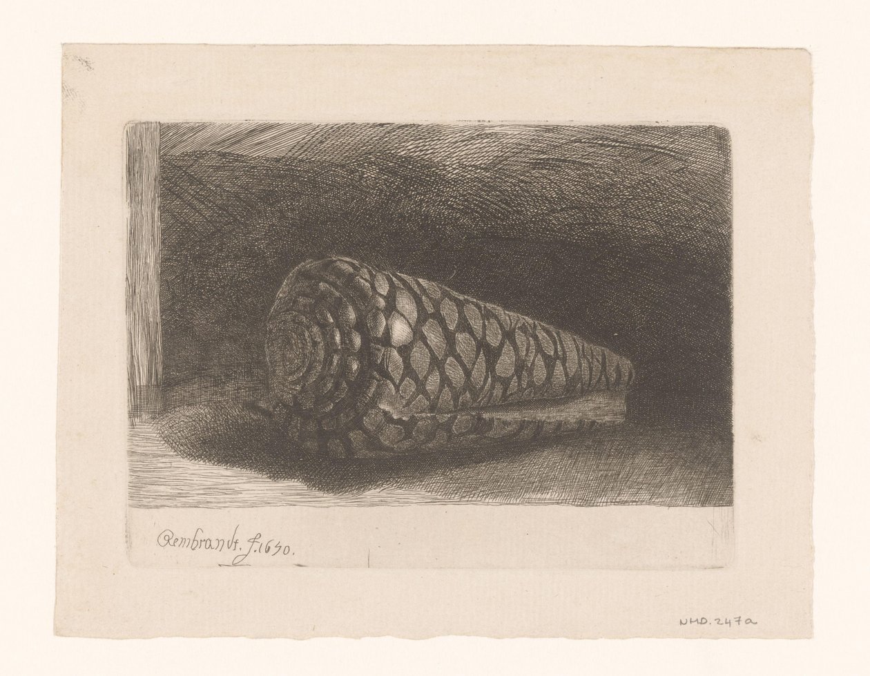 La cáscara de George Bickham (II)