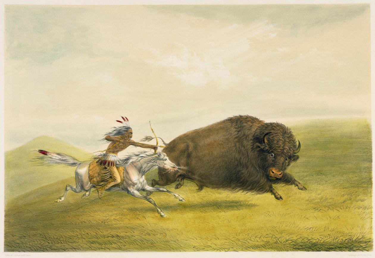 Buffalo Hunt Chase (litografía en color) de George Catlin