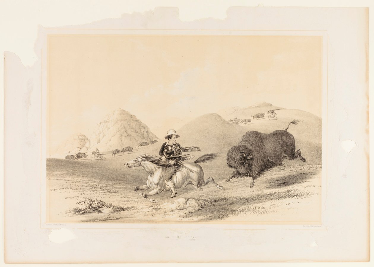 Buffalo Hunt Chasing Back no. 12 de George Catlin