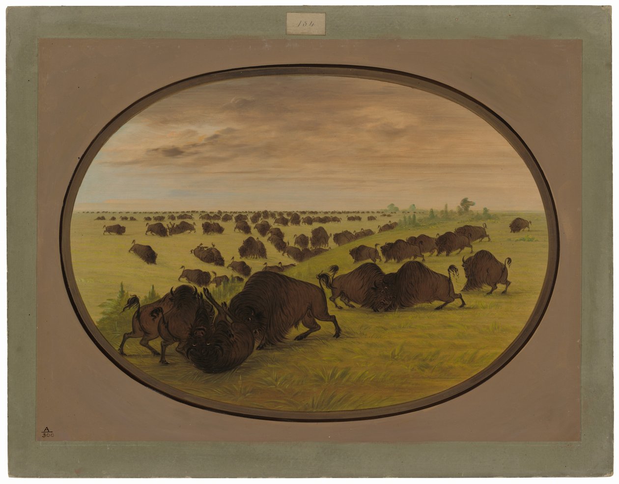 Toros peleando de George Catlin