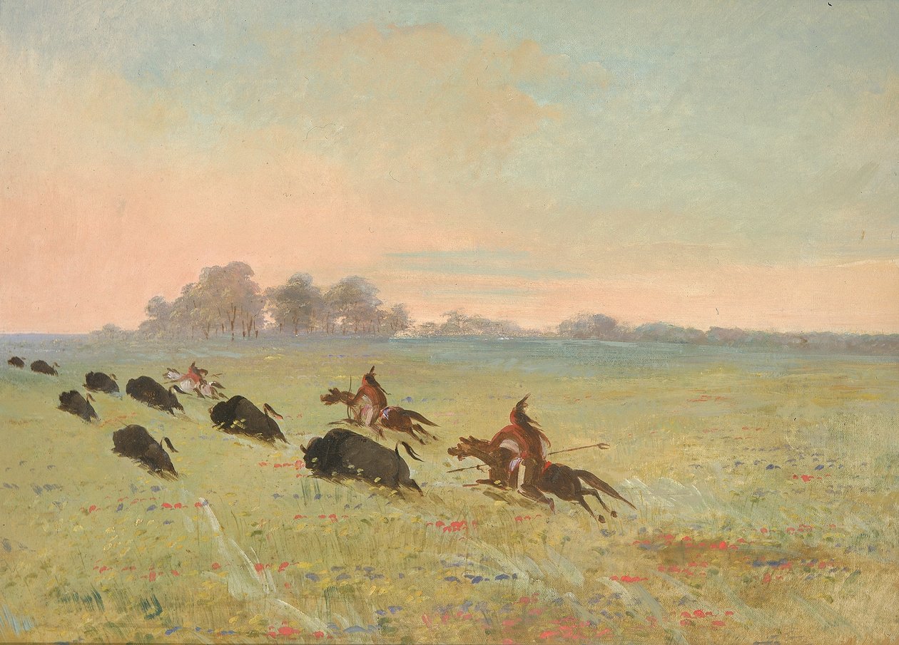 Indios comanches persiguiendo búfalos de George Catlin