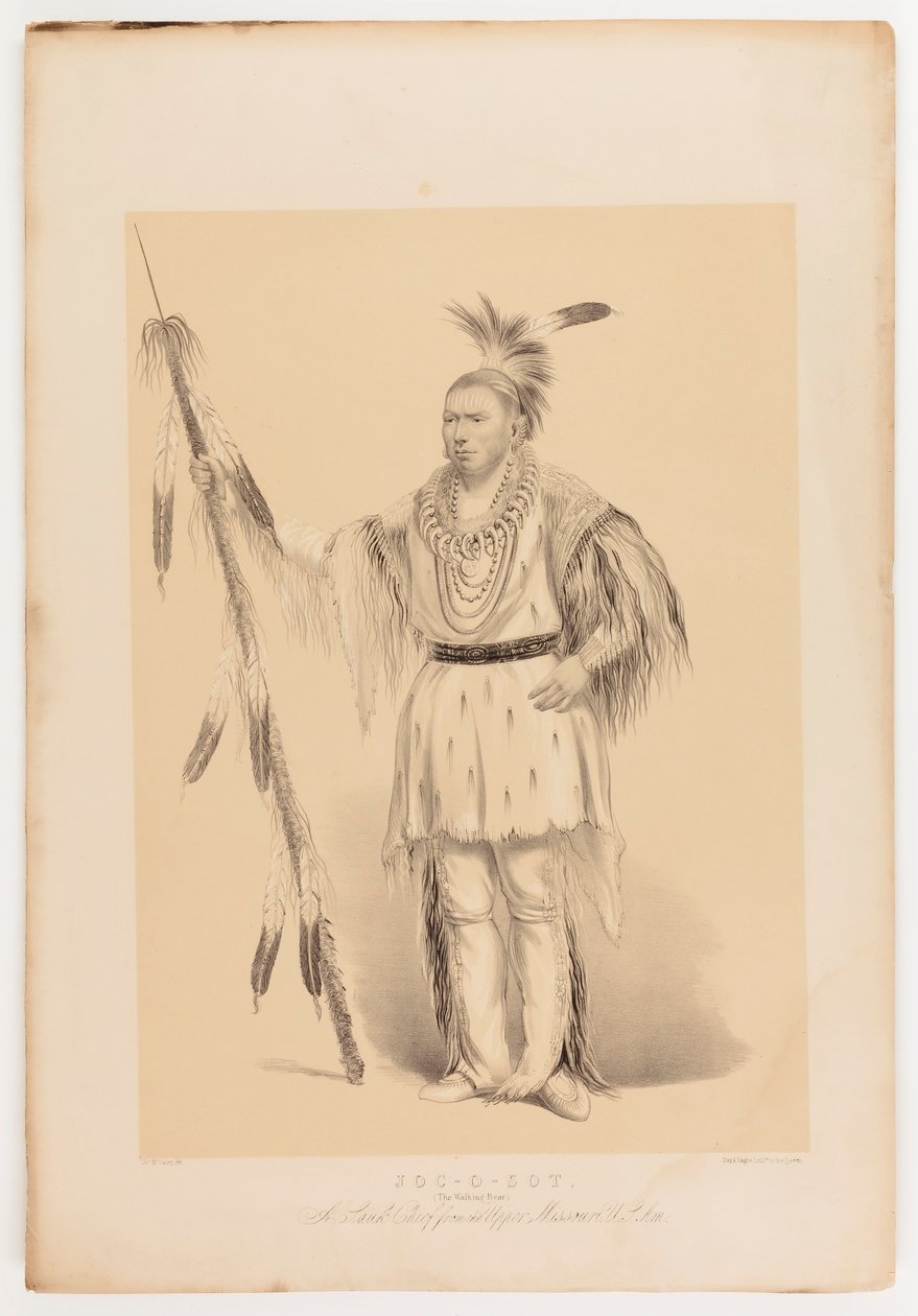 Joc-o-sot, el Oso Caminante de George Catlin