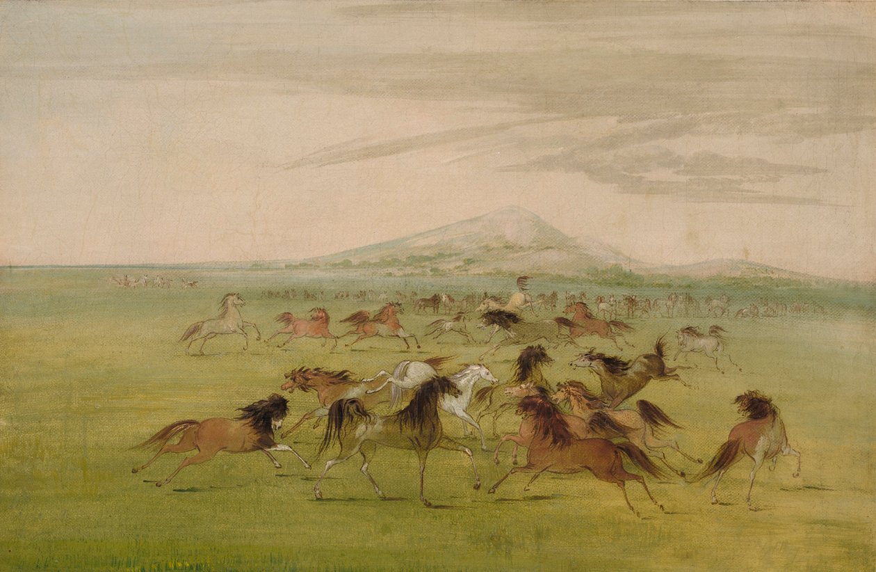 Caballos salvajes jugando de George Catlin