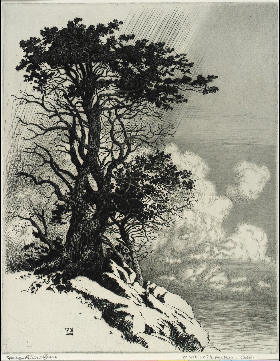 Costa en Monterey, California de George Elbert Burr