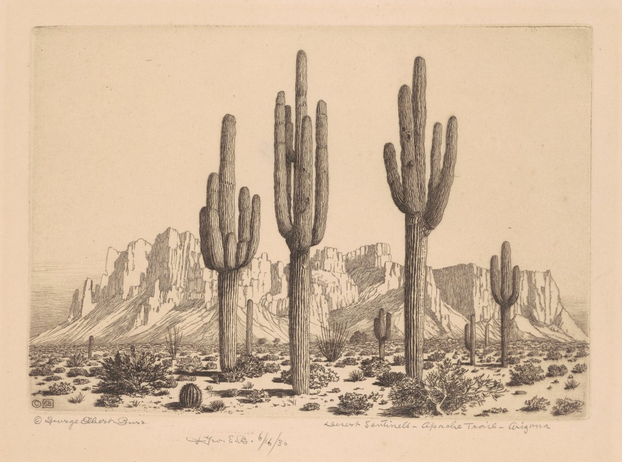 Centinelas del desierto, Apache Trail, Arizona de George Elbert Burr