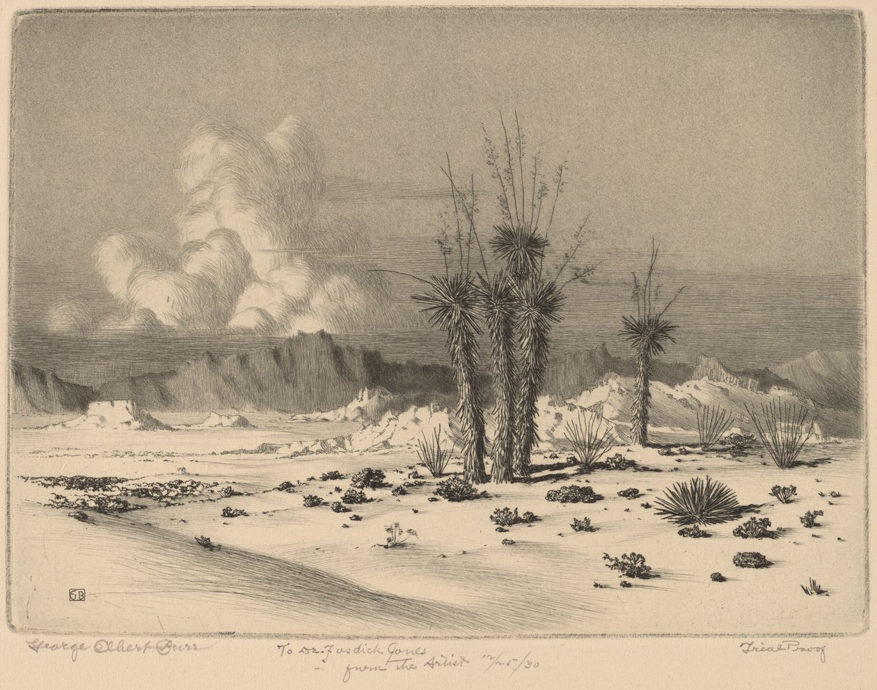 Atardecer, Arizona de George Elbert Burr