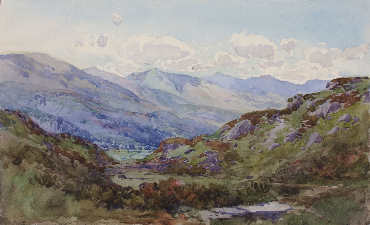 Desde arriba Pont-y-Pant, 1899 de George Elbert Burr