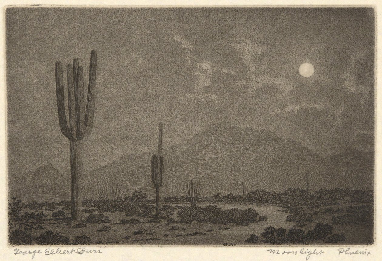 Moonlight-Phoenix de George Elbert Burr