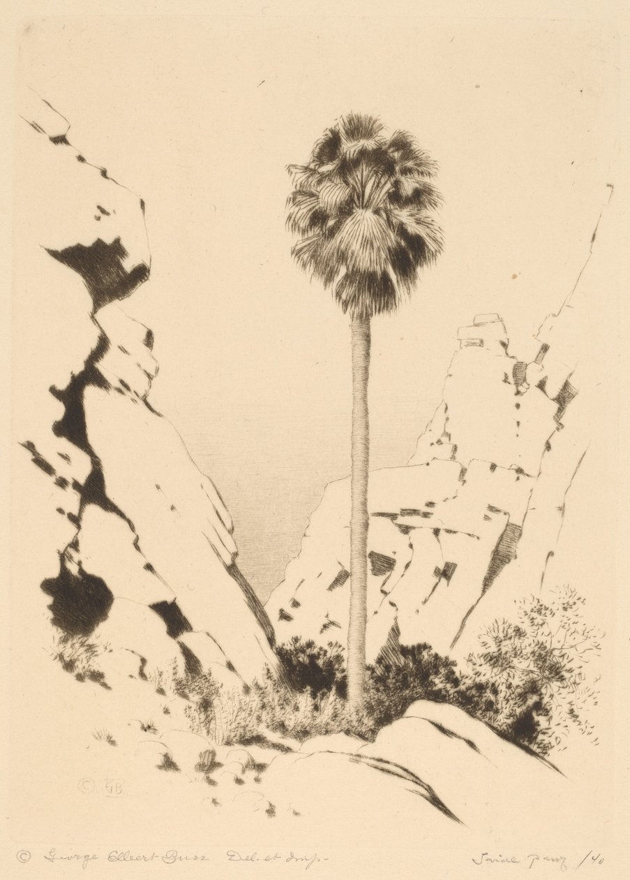 Cañón de palmeras (n.º 1) de George Elbert Burr