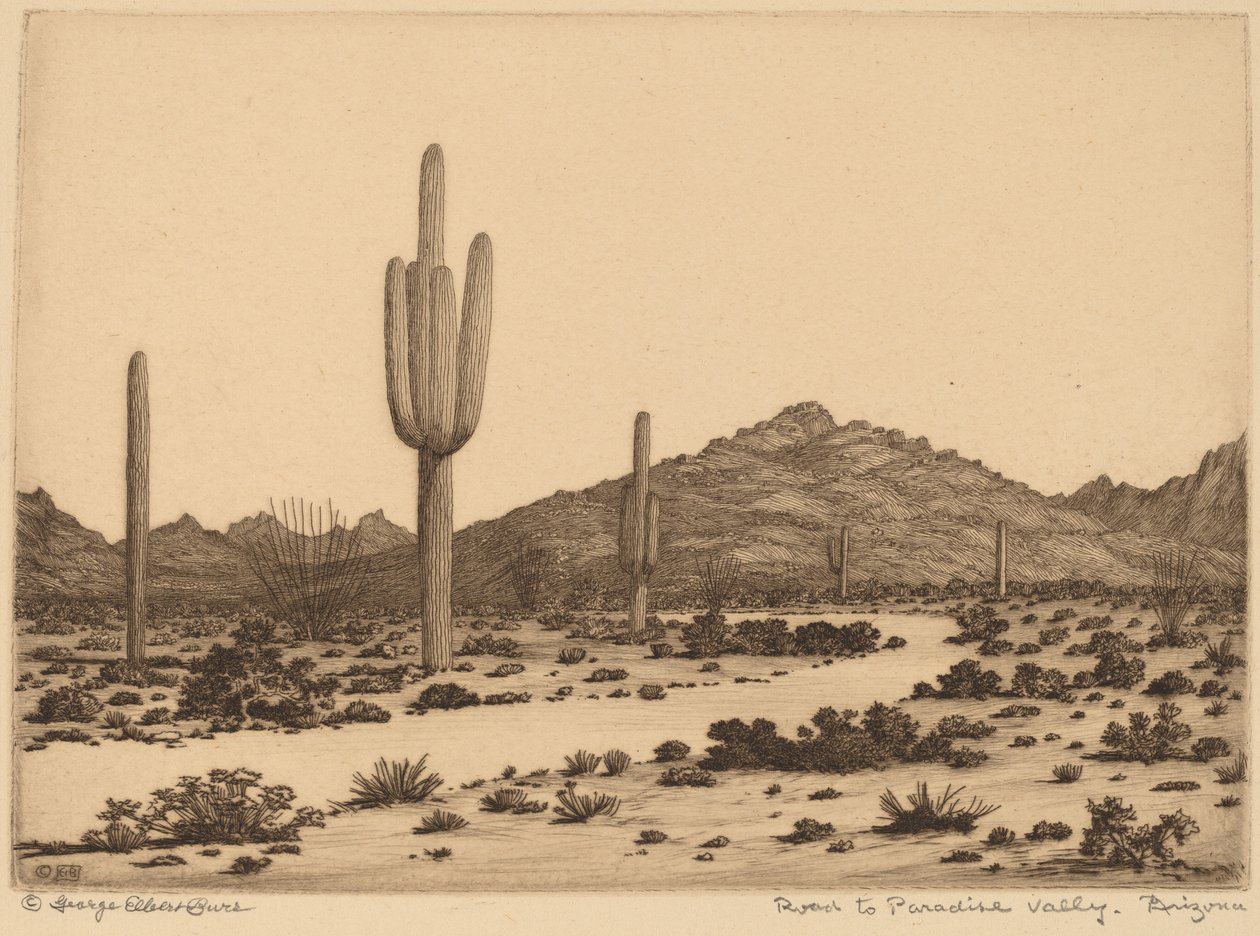 Camino al Valle del Paraíso, Arizona de George Elbert Burr