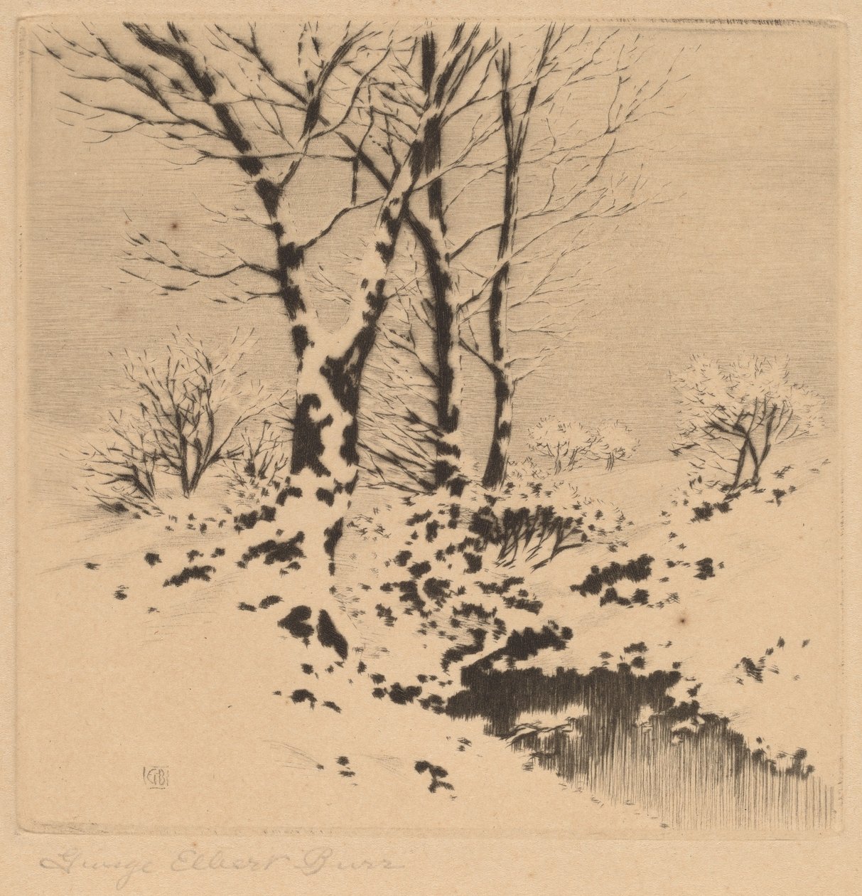 Nieve de George Elbert Burr