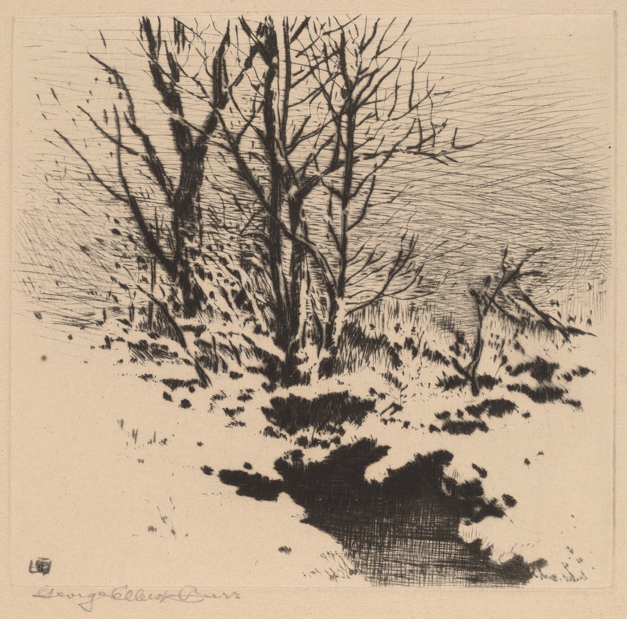 La primera nieve (n.º 2) de George Elbert Burr