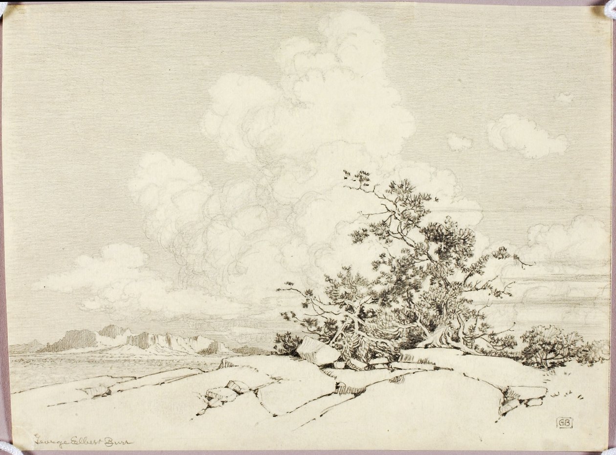 Sin título de George Elbert Burr