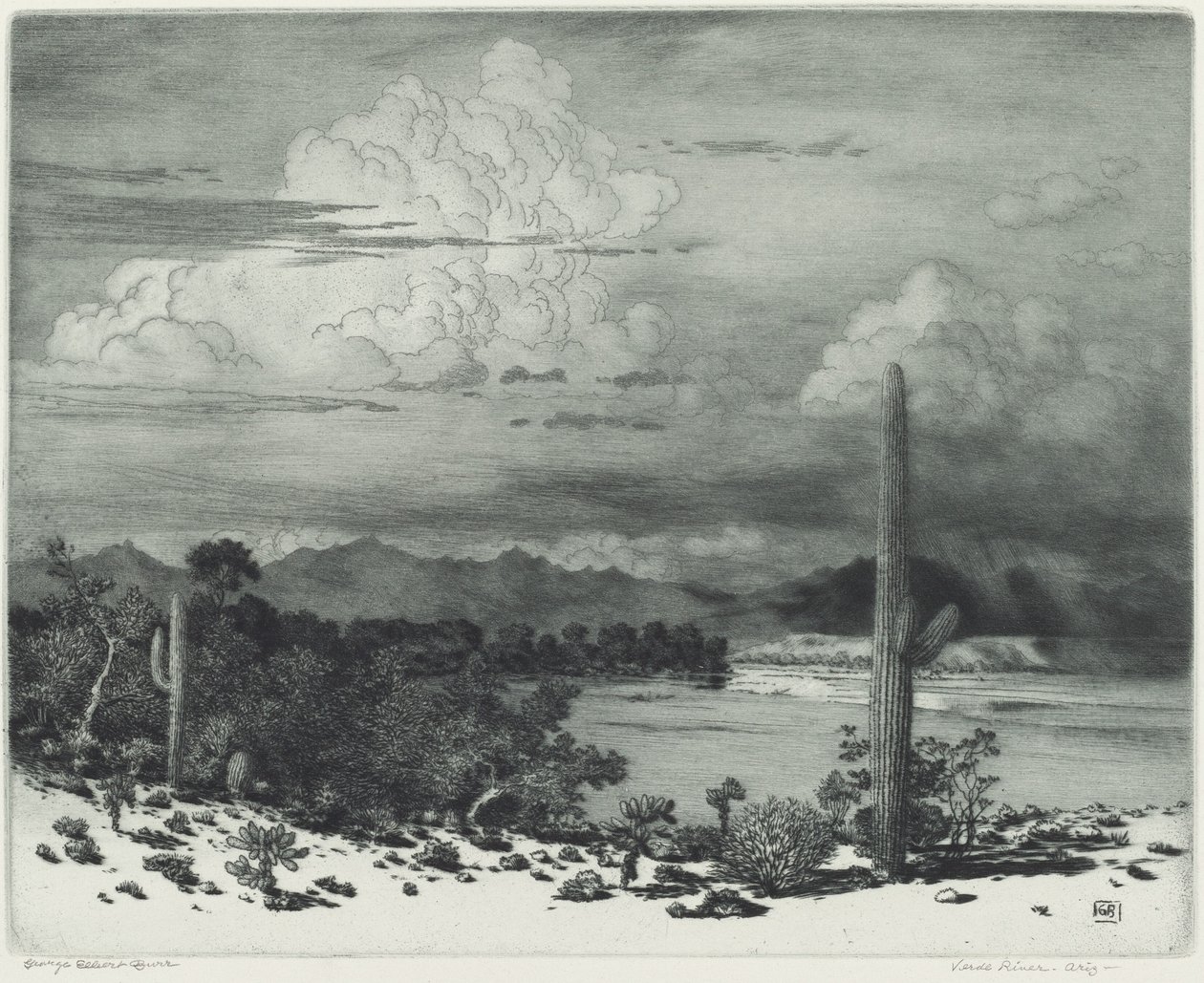 Río Verde, Arizona de George Elbert Burr