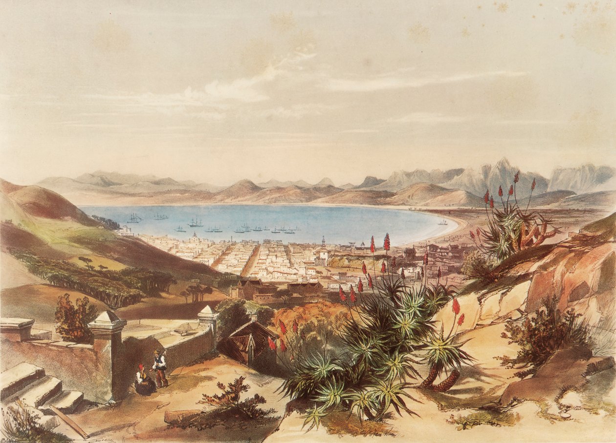 Ciudad del Cabo de George French Angas