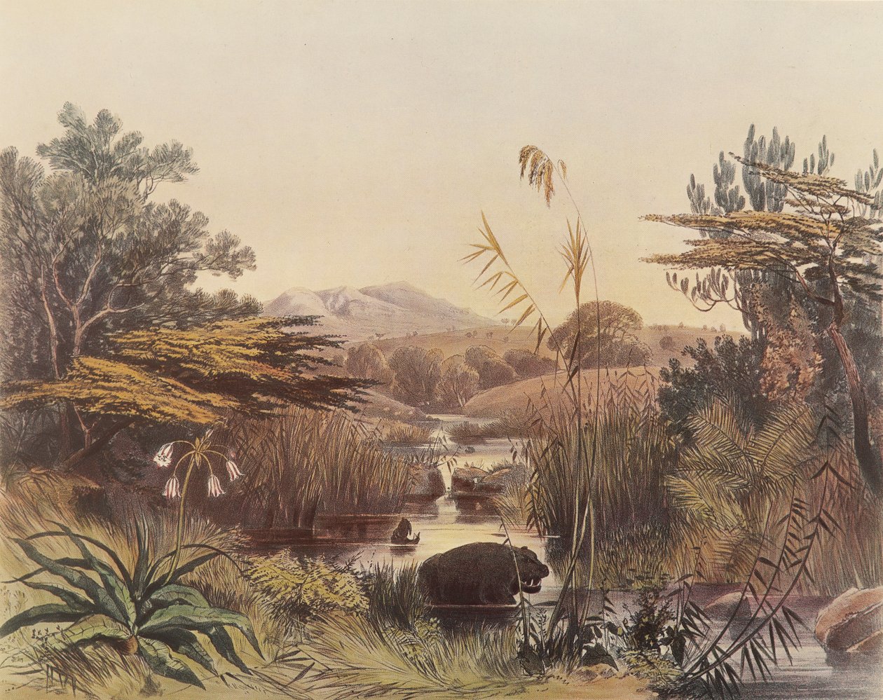 El río Umnonoti al atardecer de George French Angas