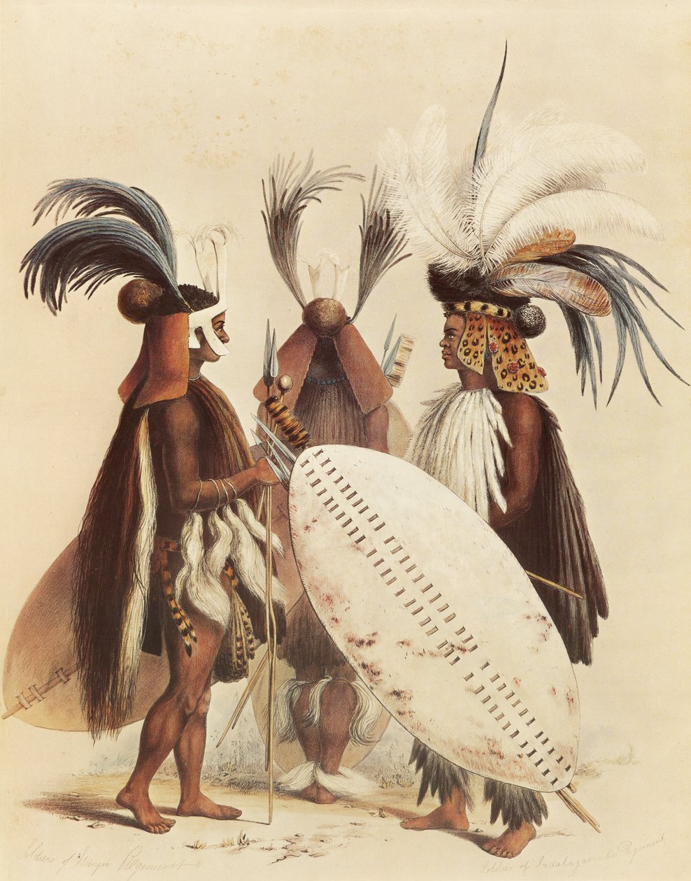 El ejército zulú de George French Angas