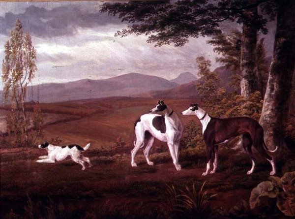Galgos en un Paisaje de George Garrard
