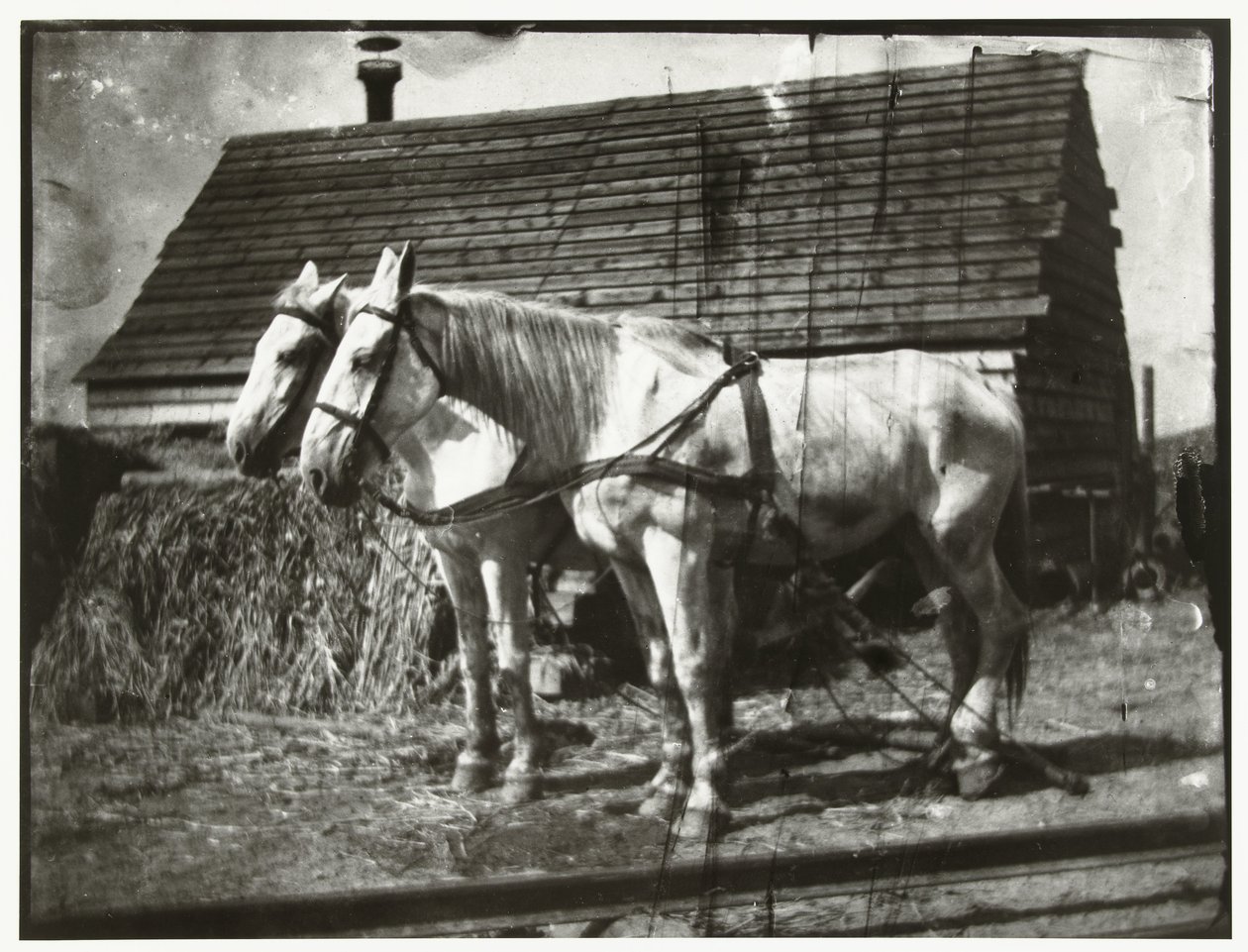 Caballos en el Cruquiusweg de George Hendrik Breitner