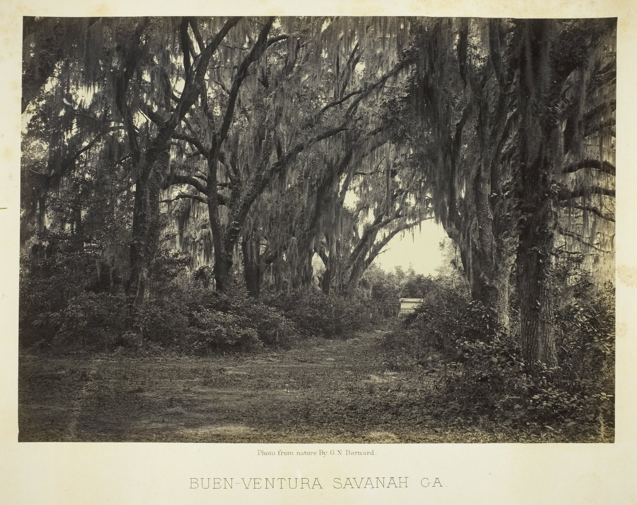 Buen-Ventura Savannah, Ga. de George N. Barnard