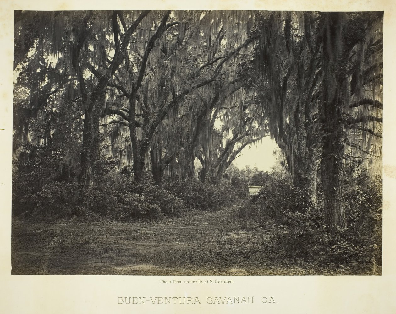 Buenaventura, Savannah, Ga., 1866 de George N. Barnard