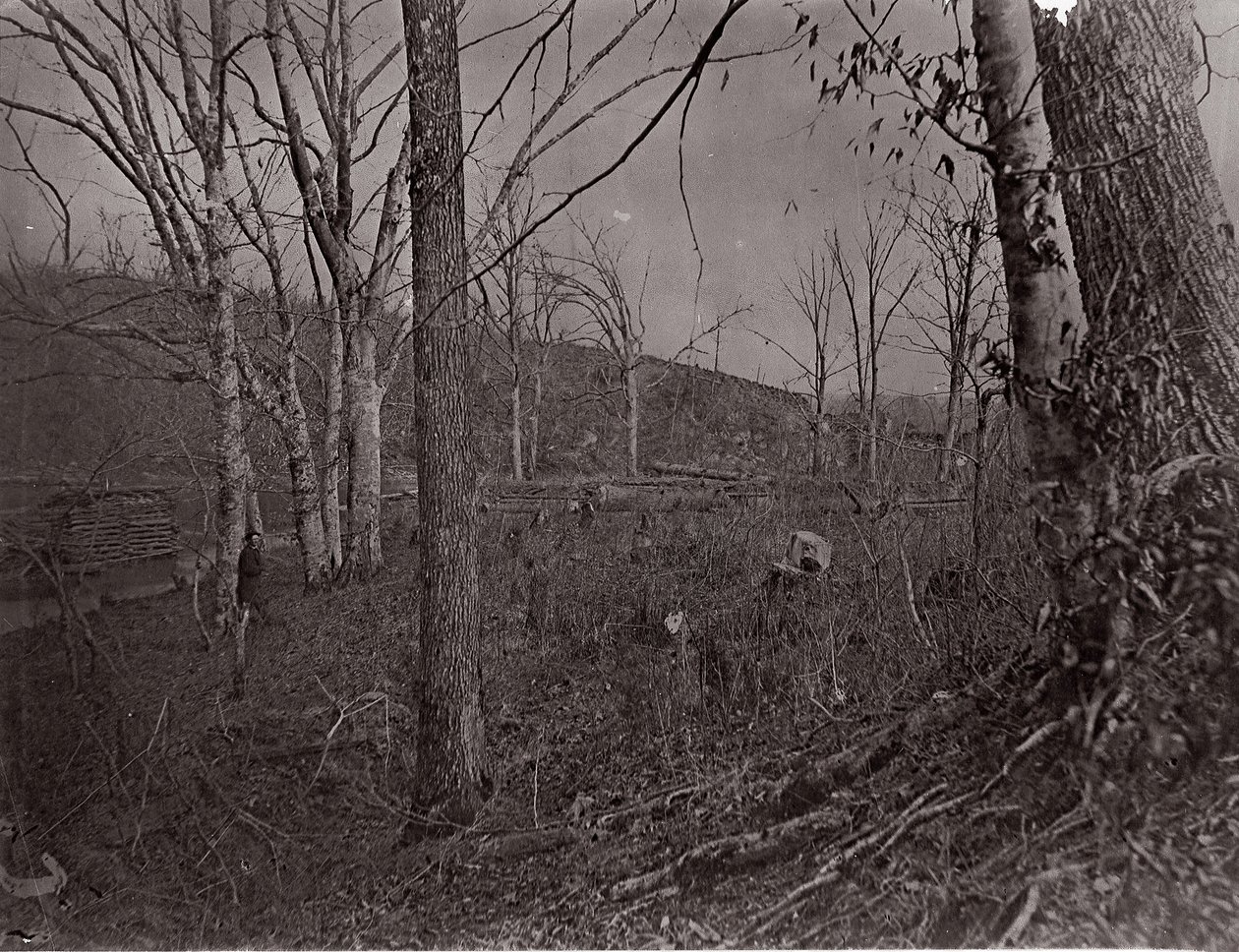 Bull Run, Virginia, 1861-62 de George N. Barnard