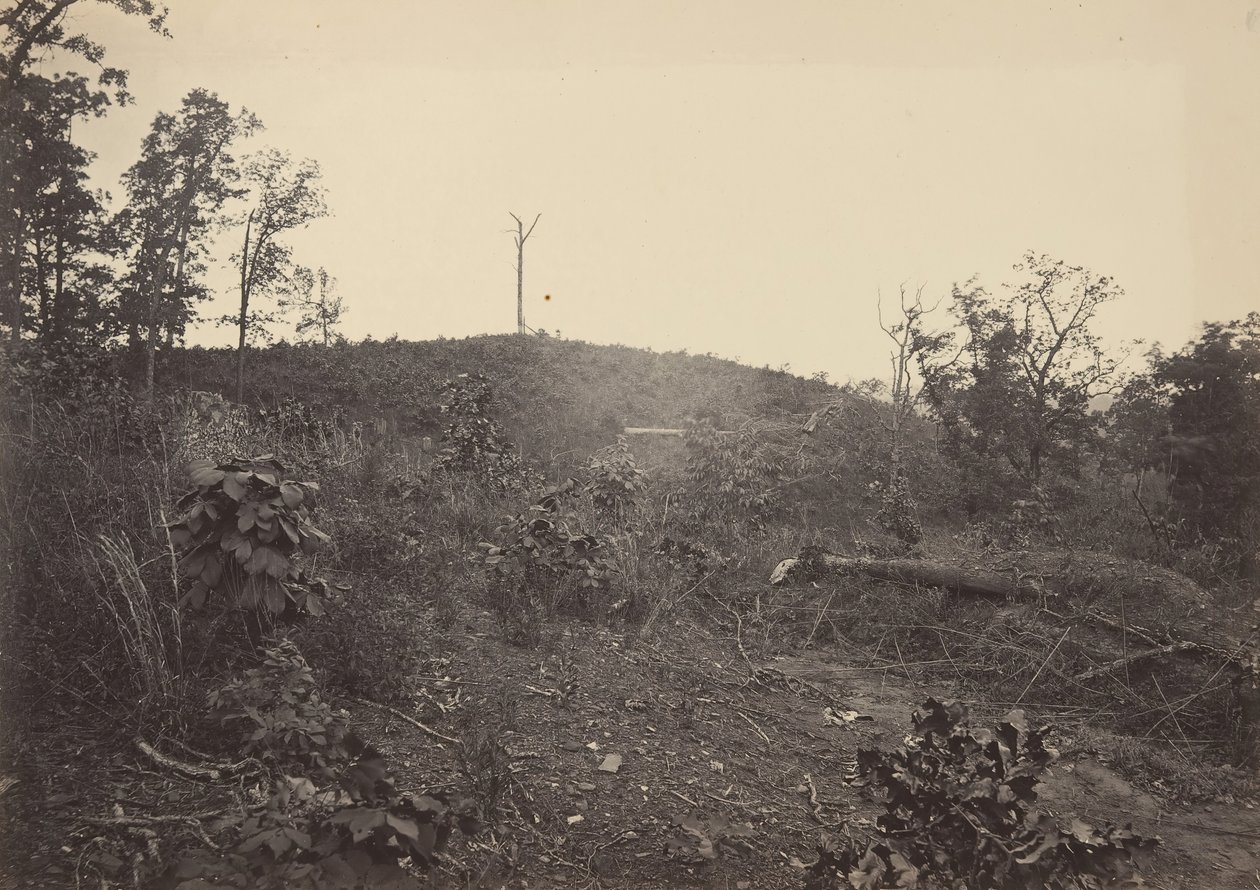 Montaña de Pinos, 1860s de George N. Barnard