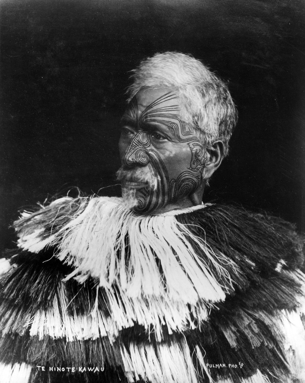 Te Hinote Kawau, c.1860-71 de George Pulman