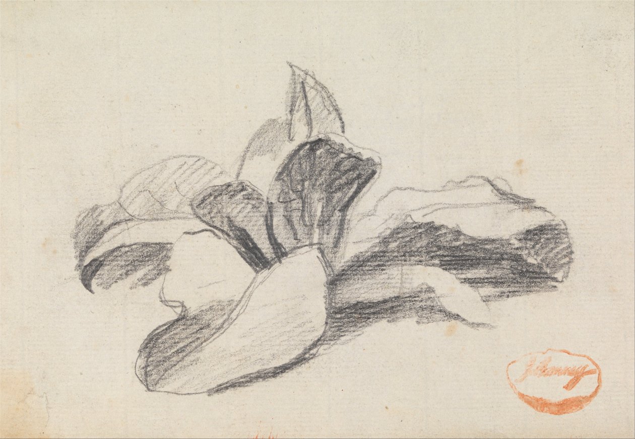 Estudio de las hojas 2 de George Romney