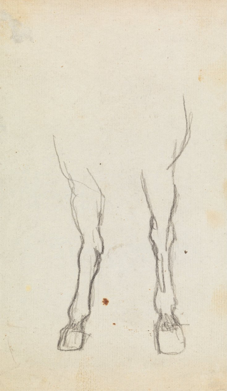 Estudio de las pezuñas de un caballo de George Romney