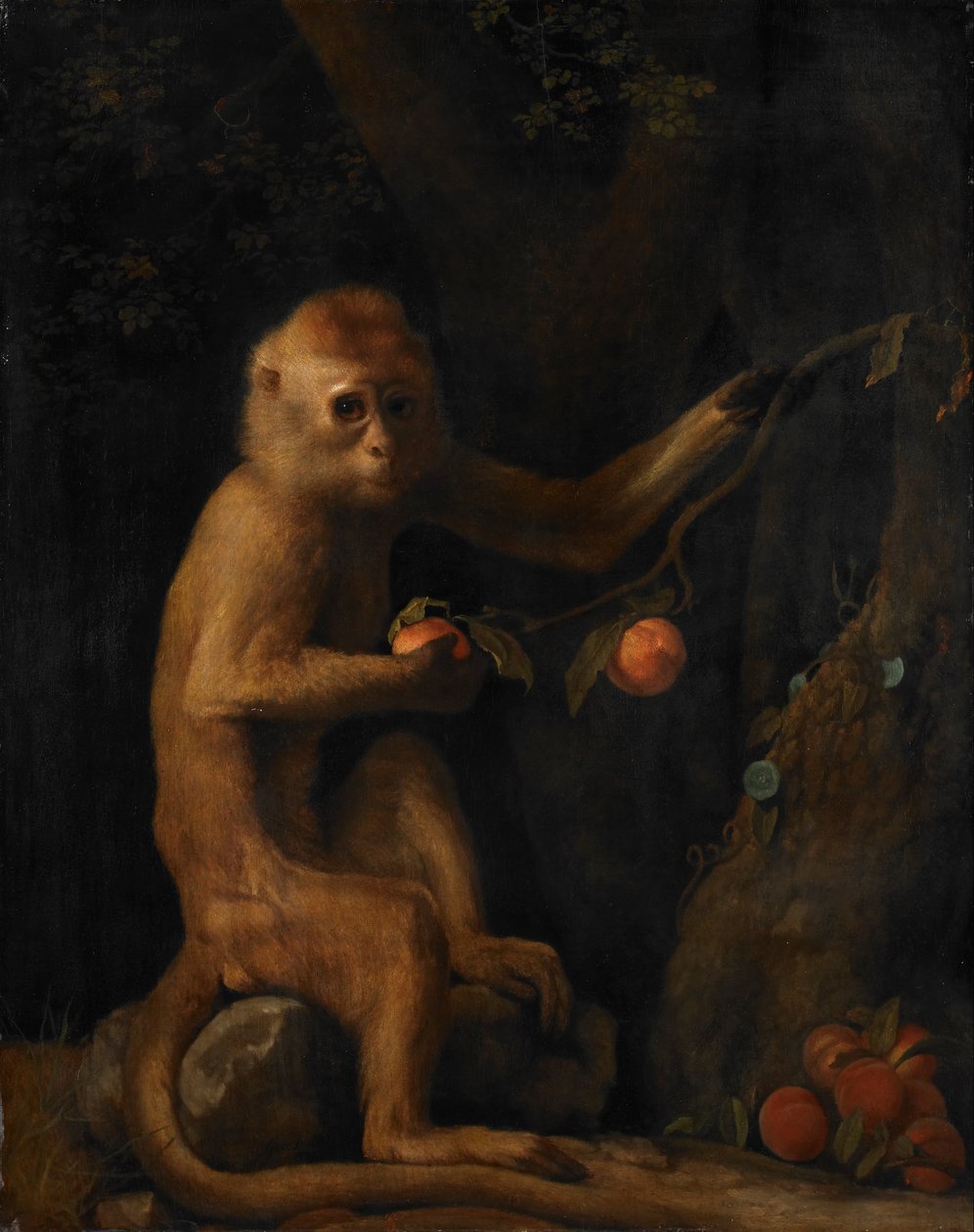 Un mono de George Stubbs