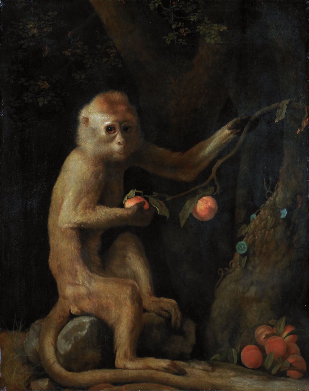 Un mono de George Stubbs